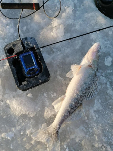Эхолот Практик 8 в Улан-Удэ