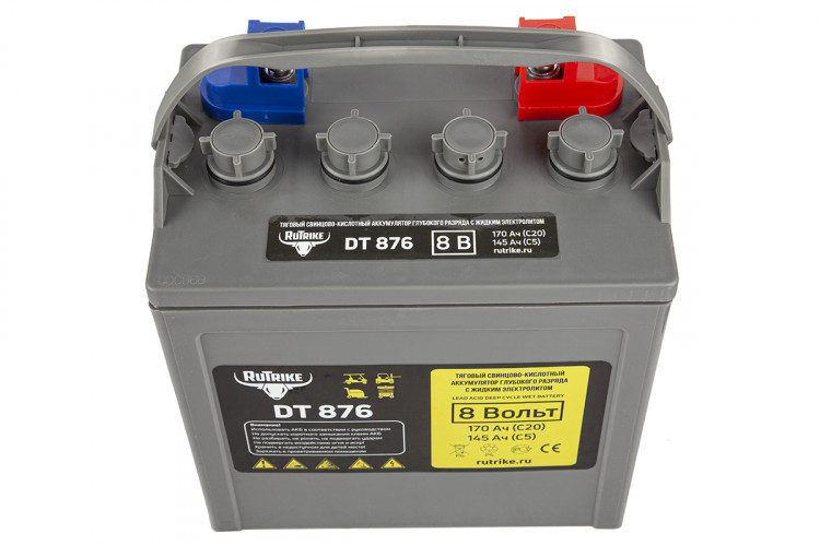 Тяговый аккумулятор RuTrike WET DT876 (T-875) 8V120A/H C3 в Улан-Удэ