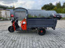 Грузовой электрический трицикл Pаntеrа Гидрaвлика 75V1500W в Улан-Удэ